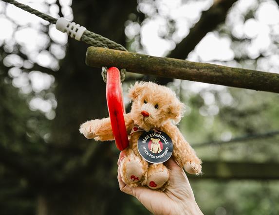 Bear Essentials