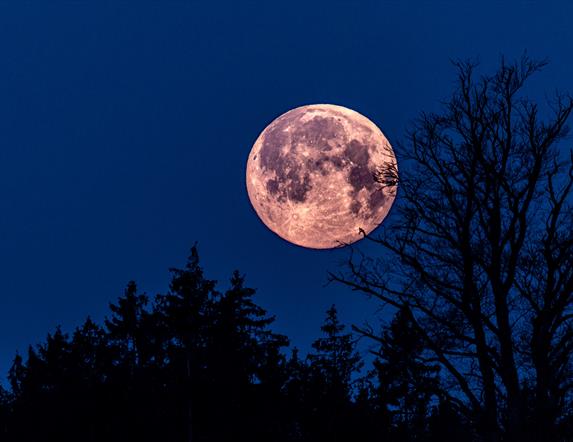 Pink Moon Paddle at Share Discovery Village