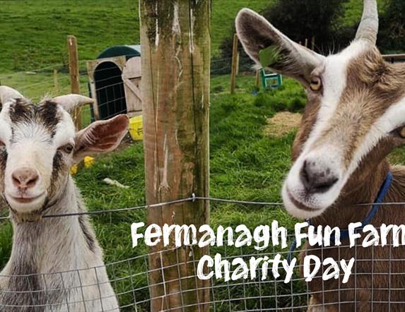 Fermanagh Fun Farm charity day