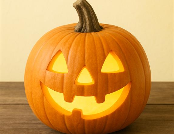 Pumpkin patch at Share Discovery Village County Fermanagh Northern Ireland