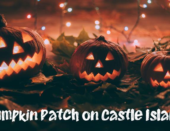 Pumpkin Patch on Castle Island