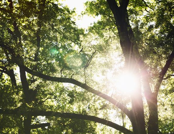Relax, Restore & Rejuvenate Retreat