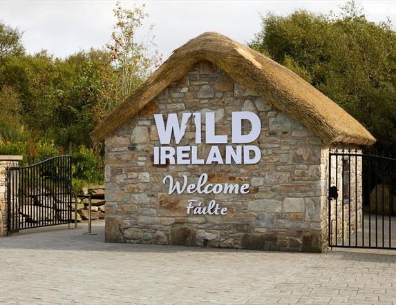Wild Ireland