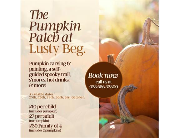 The Pumpkin Patch at Lusty Beg