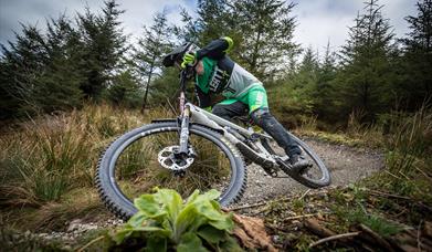 MTB