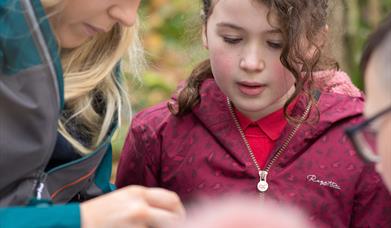 Winter Wildlife Detective