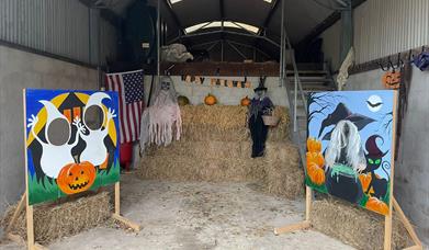 Lappins Pumpkin Patch enniskillen