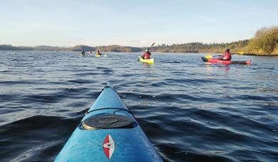 Primrose Paddle