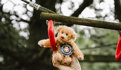 Bear Essentials