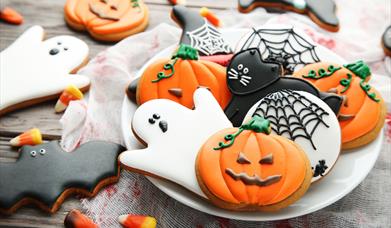 Witchy Kitchen at Share Discovery Village