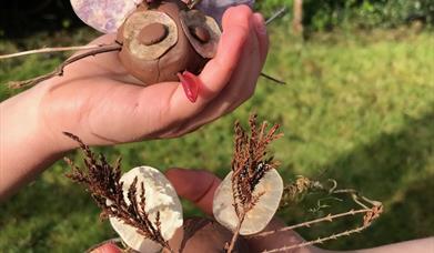 C:\Users\User\Downloads