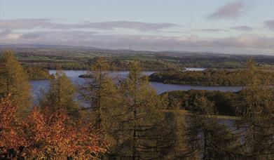 Carrickreagh Viewpoint