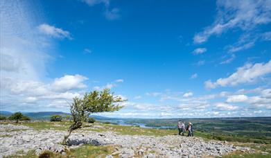 Cavan Burren Park Panorama