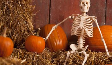 fun farm halloween