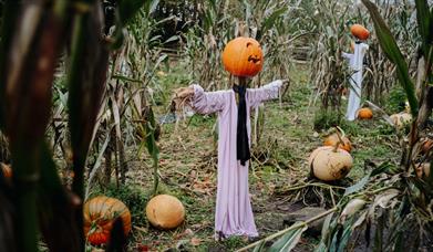 Halloween at Ulster American Folk Park 