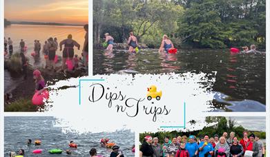 Dips n Trips Community
