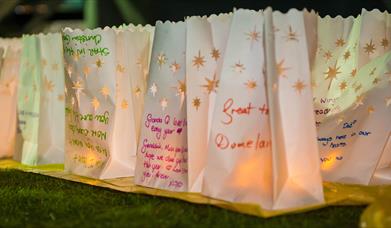 Marie Curie Twlightlight Walk