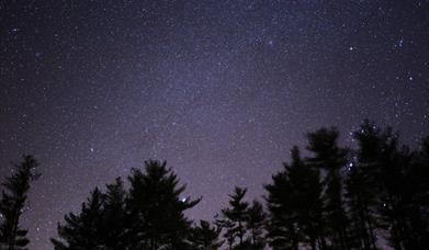 Dark Skies