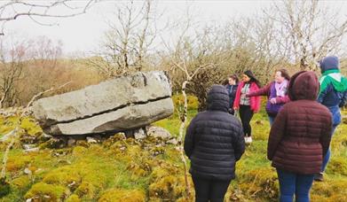 Gortmaconnell Glacial Eratic