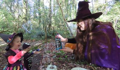 The Wicked Witch Trail
