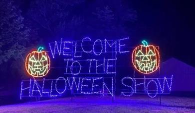 Halloween Lights
