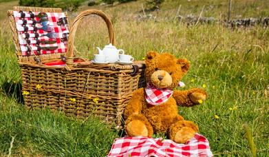 Teddy Bears