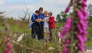 Treasure trail