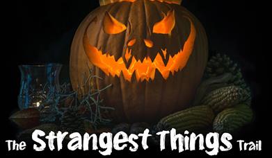 Enniskillen Castle Halloween