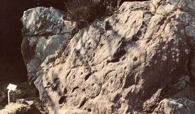 Rock art at Cavan Burren Park