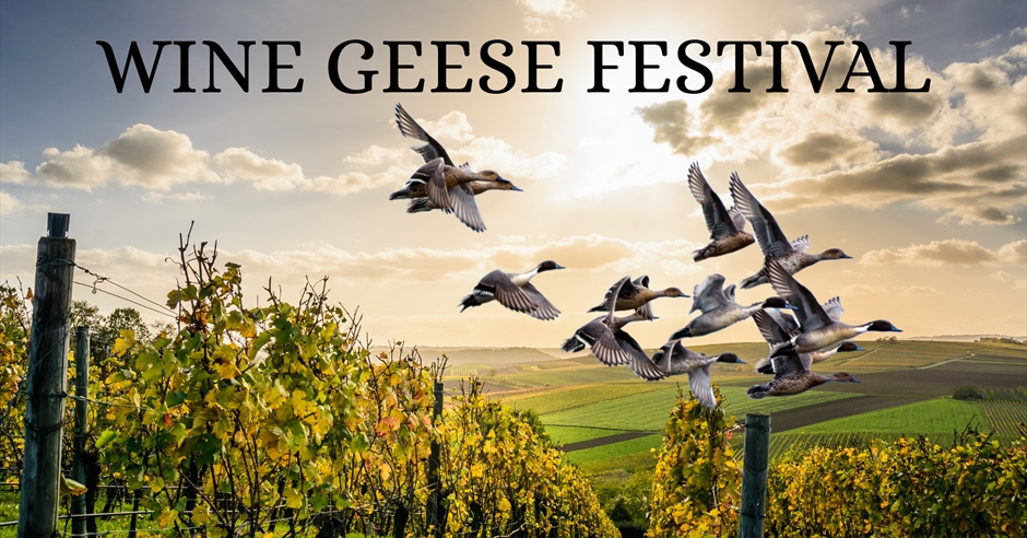 Wine Geese Festival 2025: Celebrating 300 Years of Legacy in Fermanagh ...