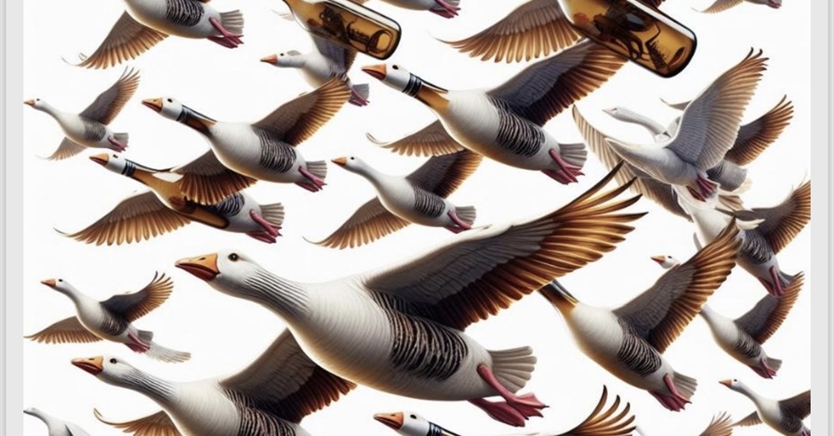 Opening Ceremony - Wine Geese Festival 2025 - Enniskillen - Fermanagh ...