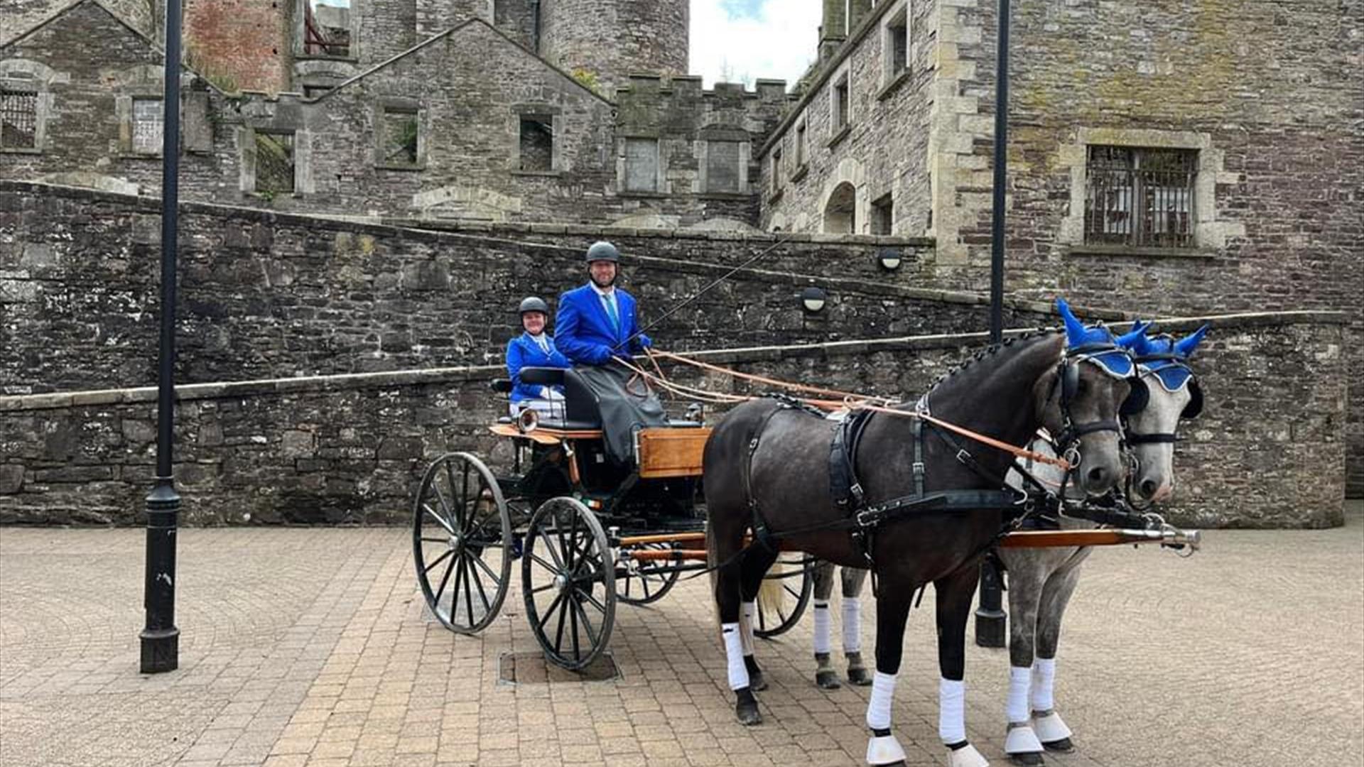 carriage driving