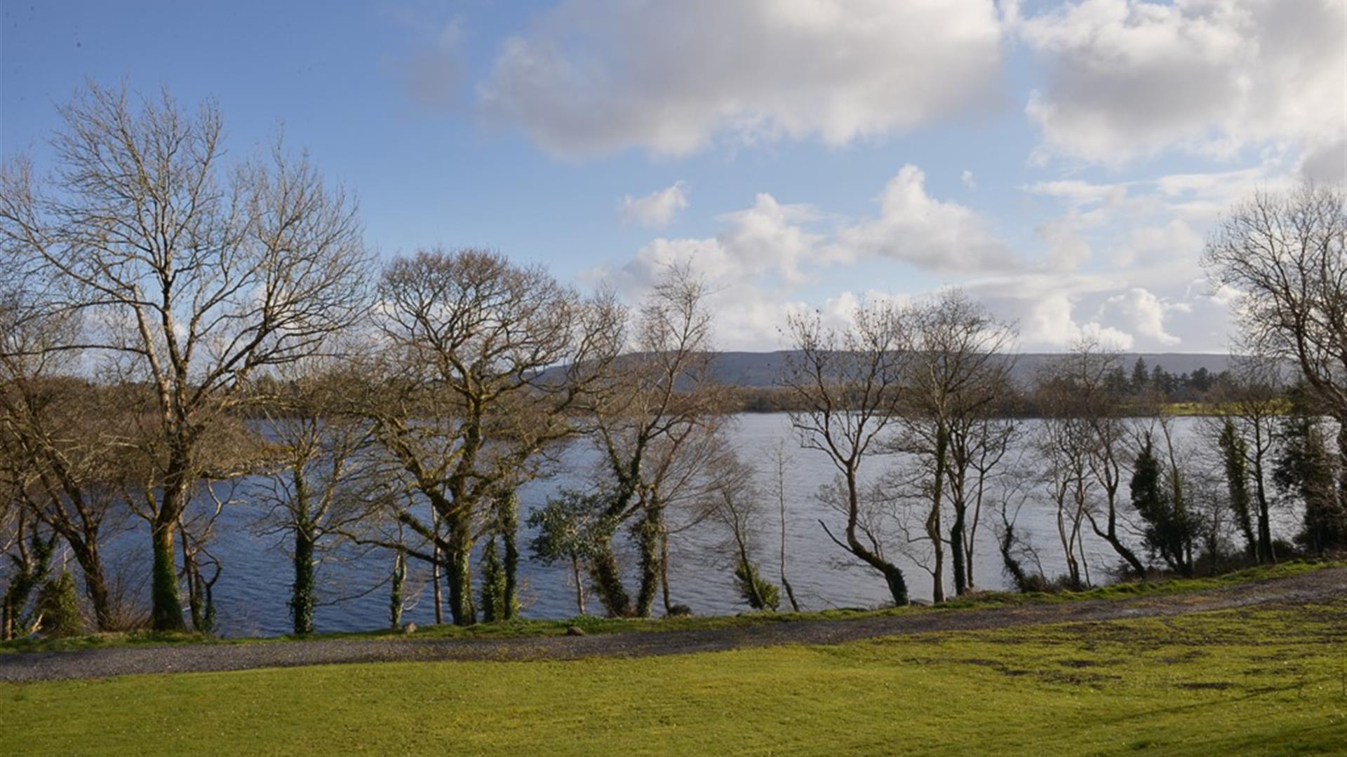View of trees on the shore and the lake behind.