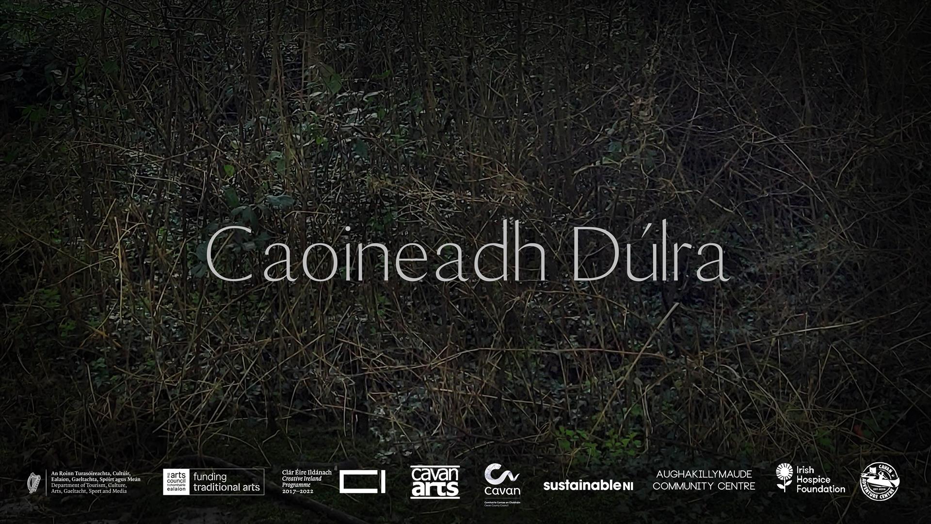 A dark image of intertwined foliage. A mixture of plants typically found in an Irish hedgerow, including ivy, brambles and moss. Over this image in l