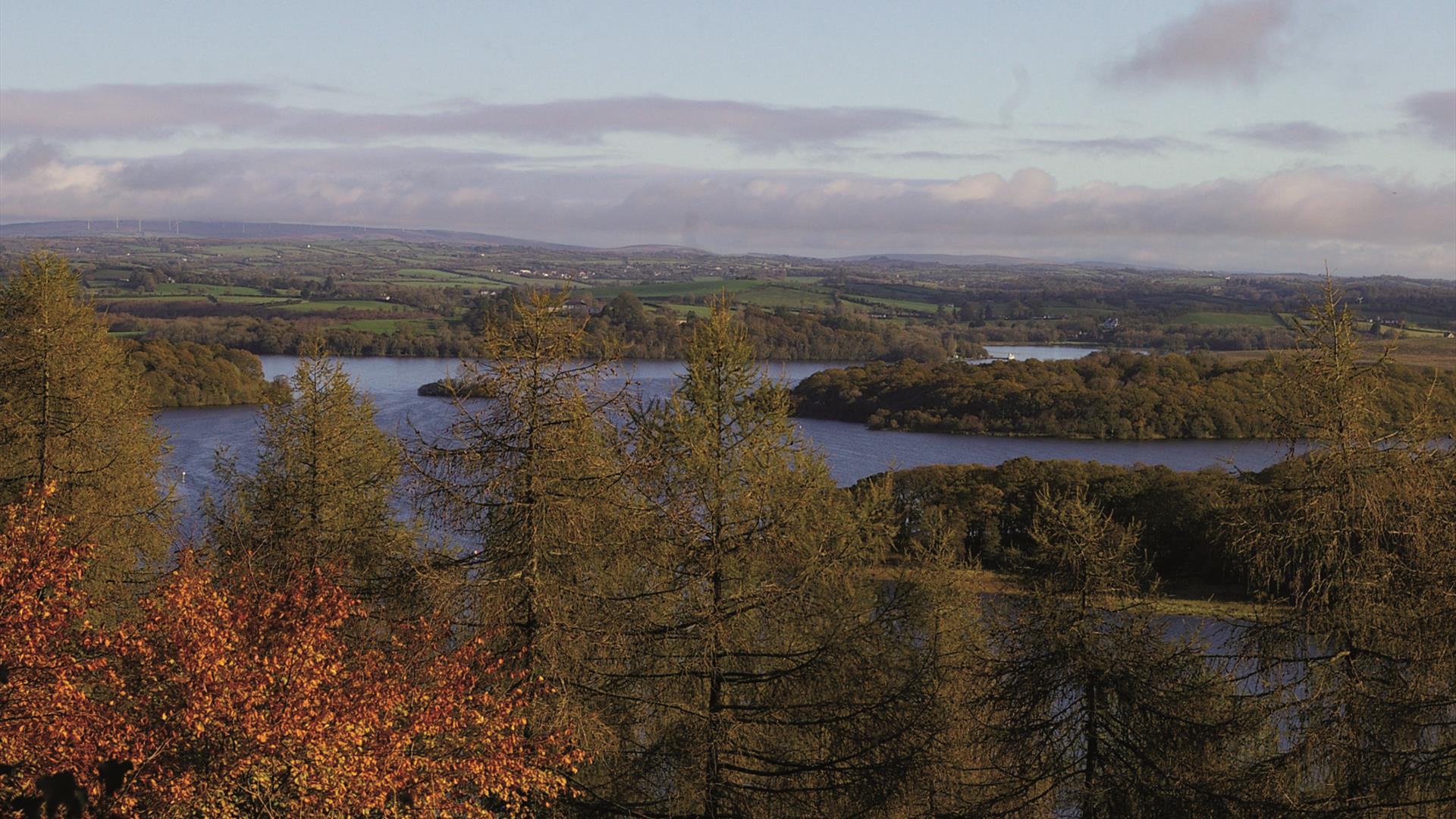 Carrickreagh Viewpoint