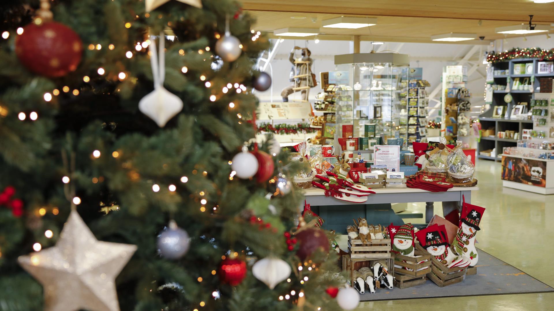 Christmas celebrations, events and offers at the Marble Arch Caves 2023