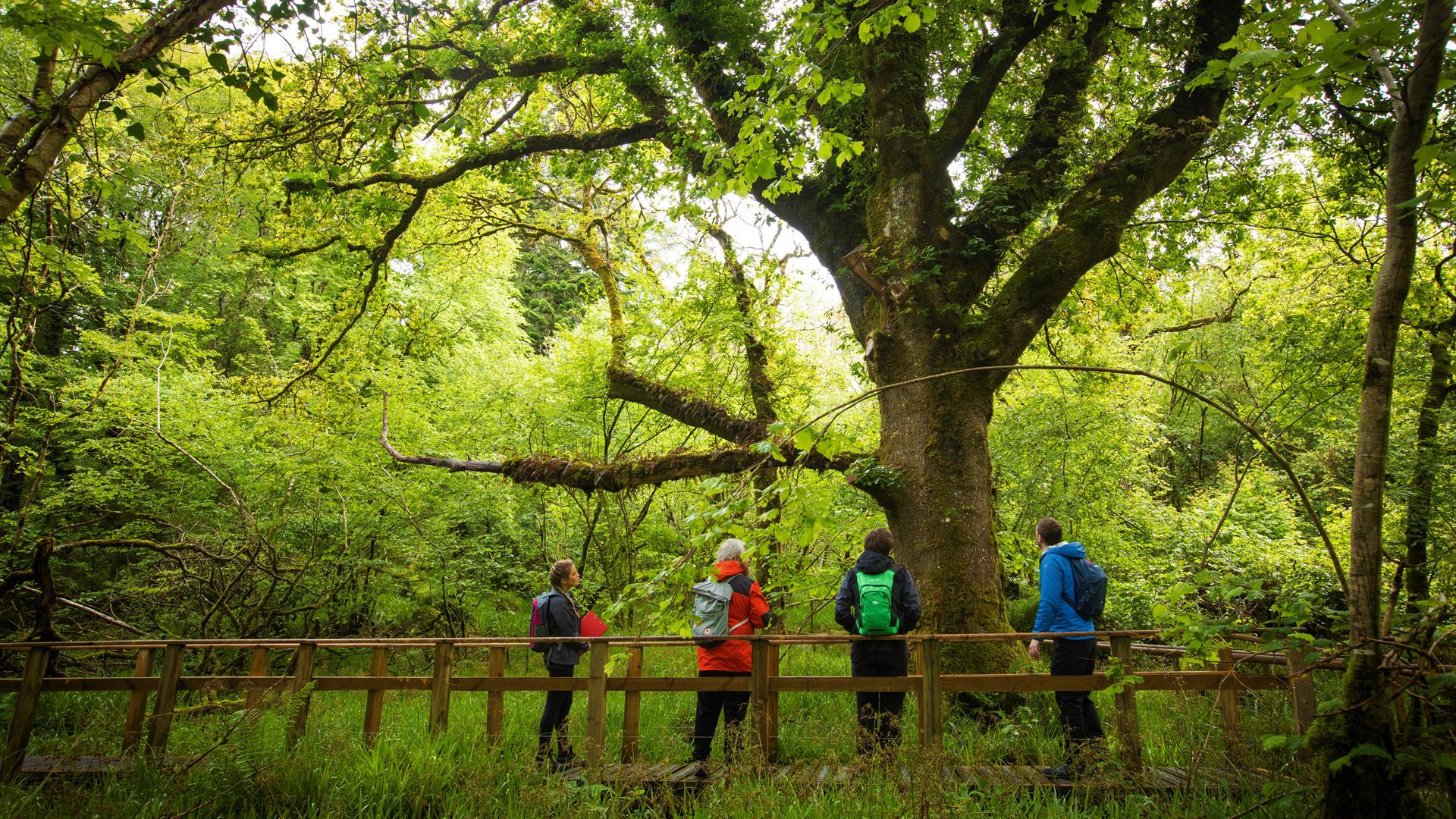 Marble Arch Caves Events