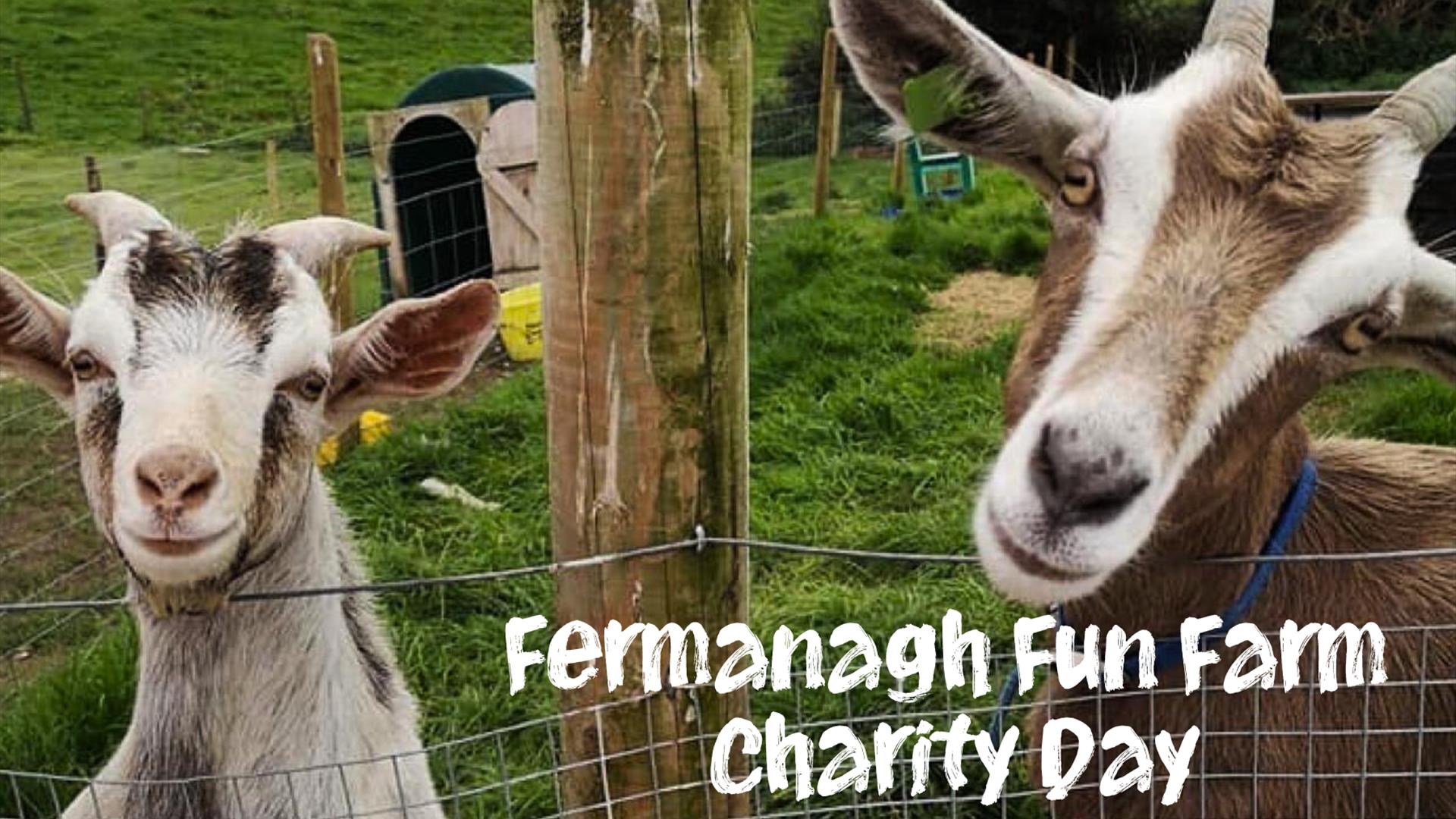 Fermanagh Fun Farm charity day