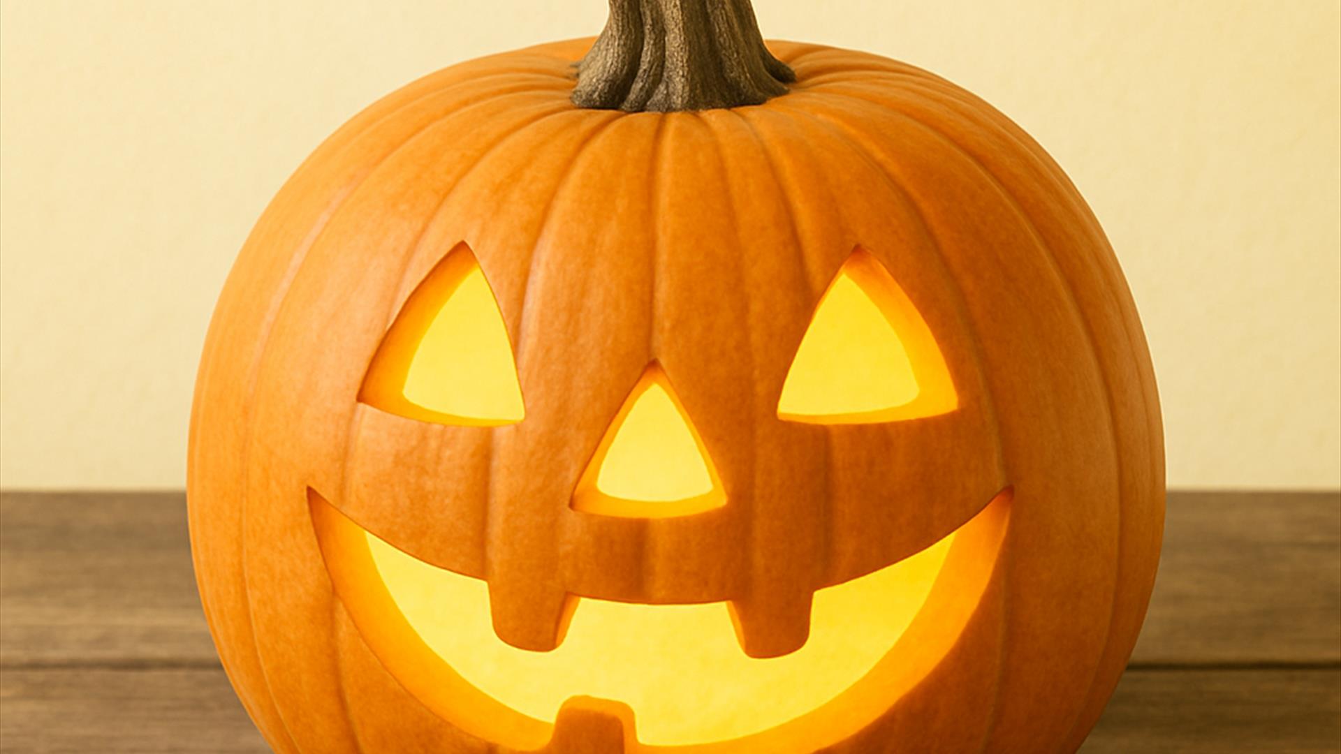 Pumpkin patch at Share Discovery Village County Fermanagh Northern Ireland