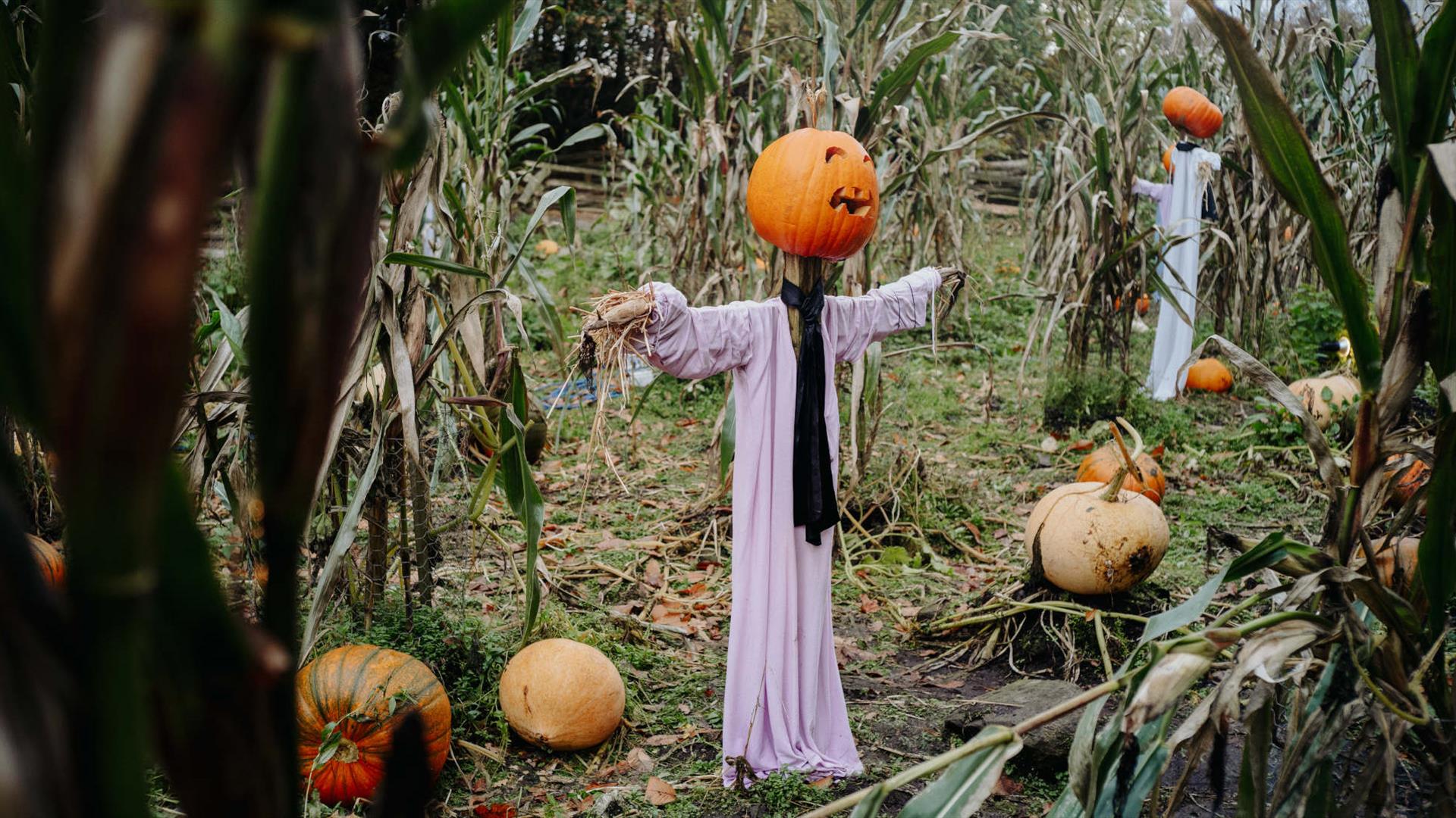 Hallowe'en at Ulster American Folk Park
