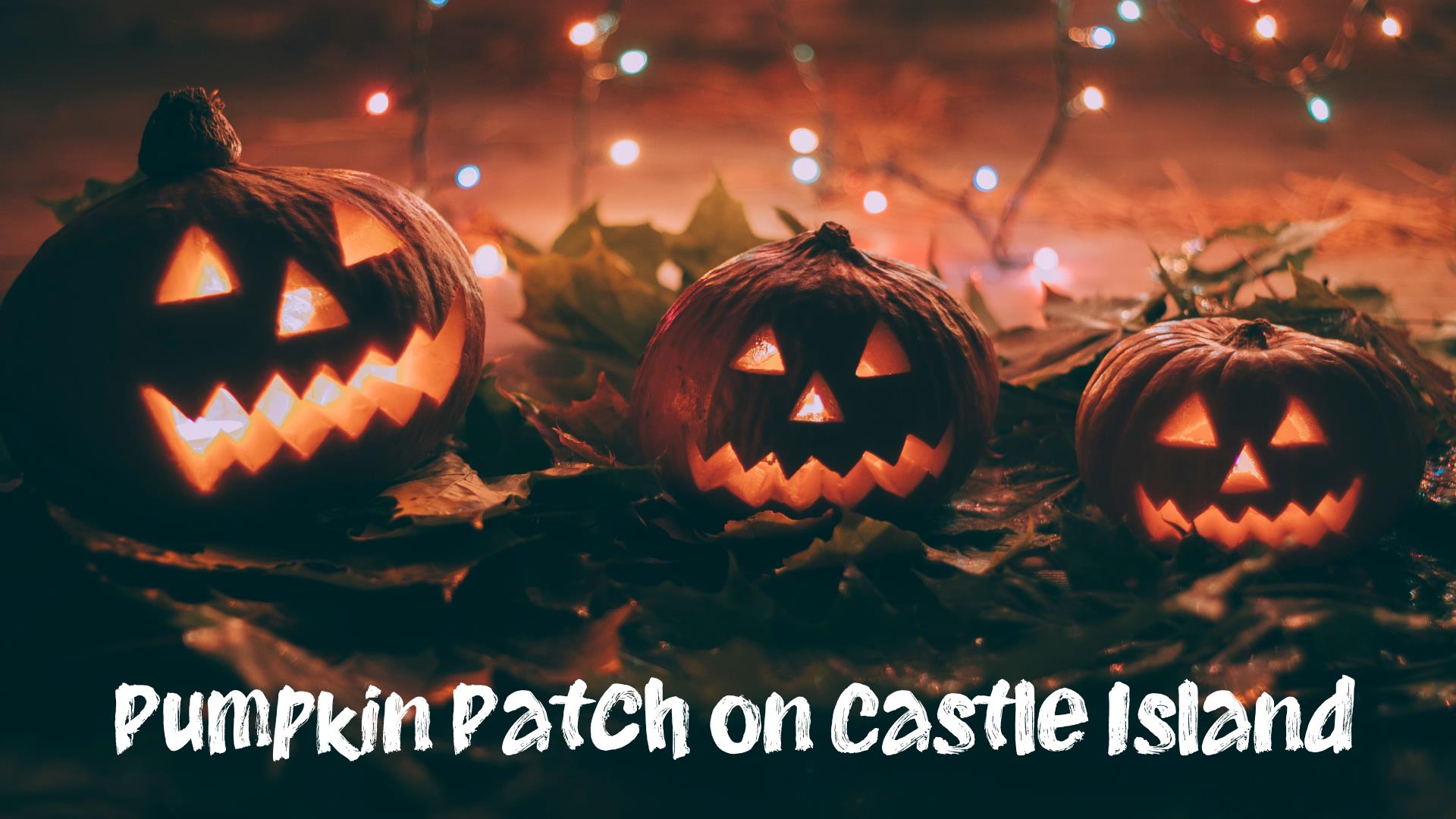 Pumpkin Patch on Castle Island