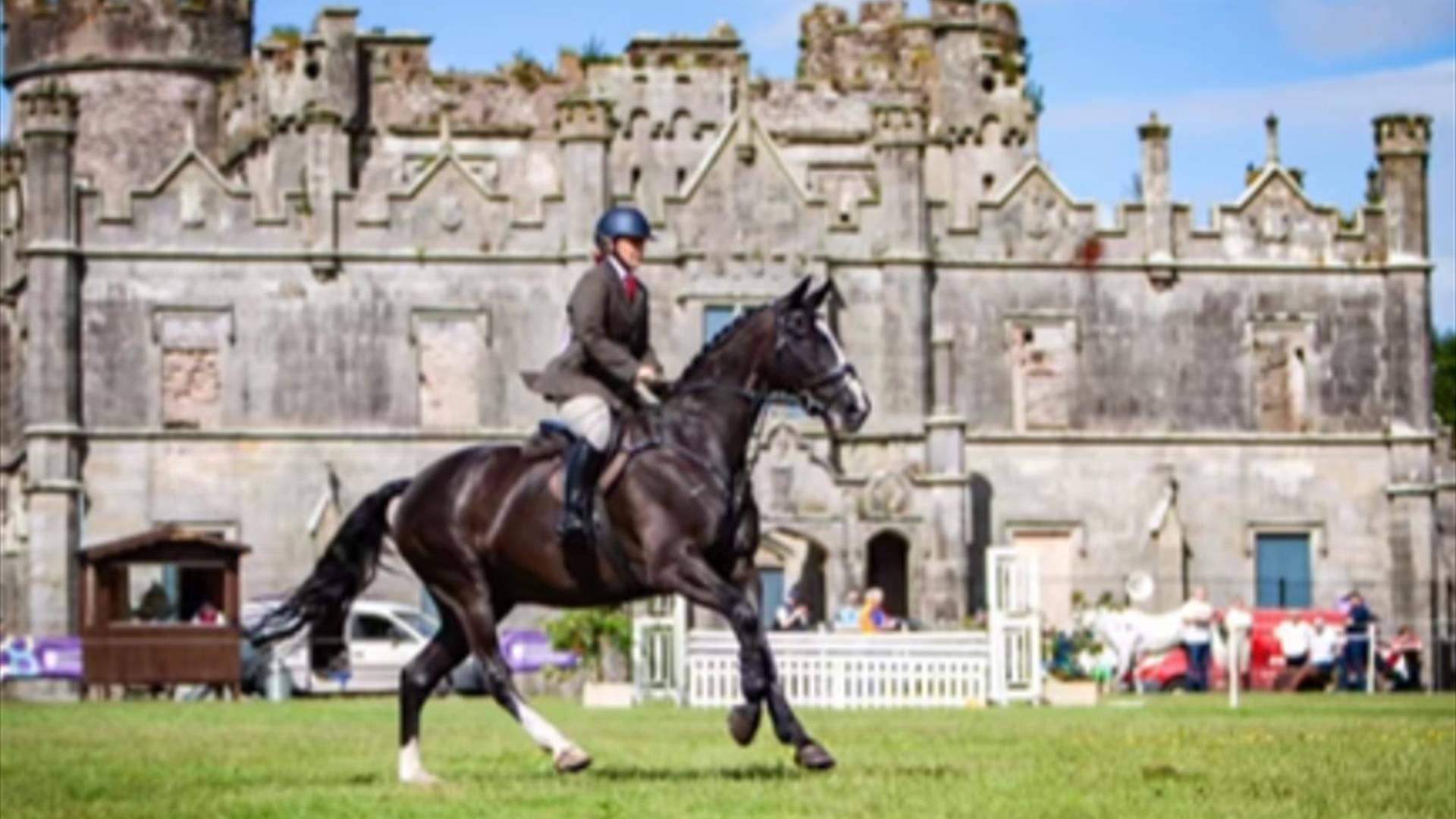 Horse Show
