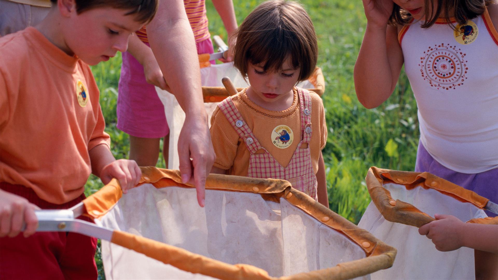 A group of children inspect a net.