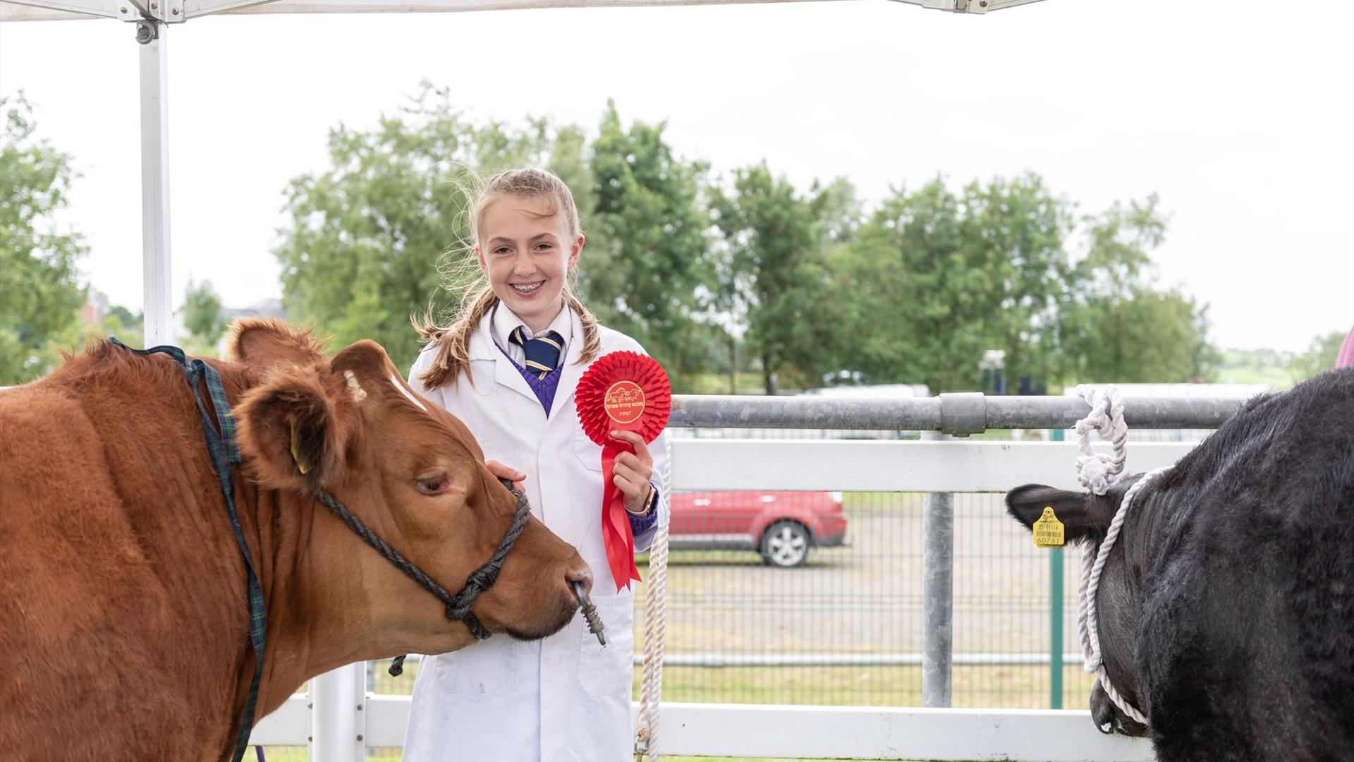 Omagh Show