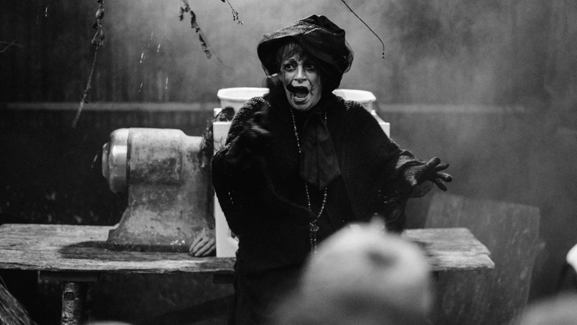 Hallowe'en Torchlight Tours at the Ulster American Folk Park
