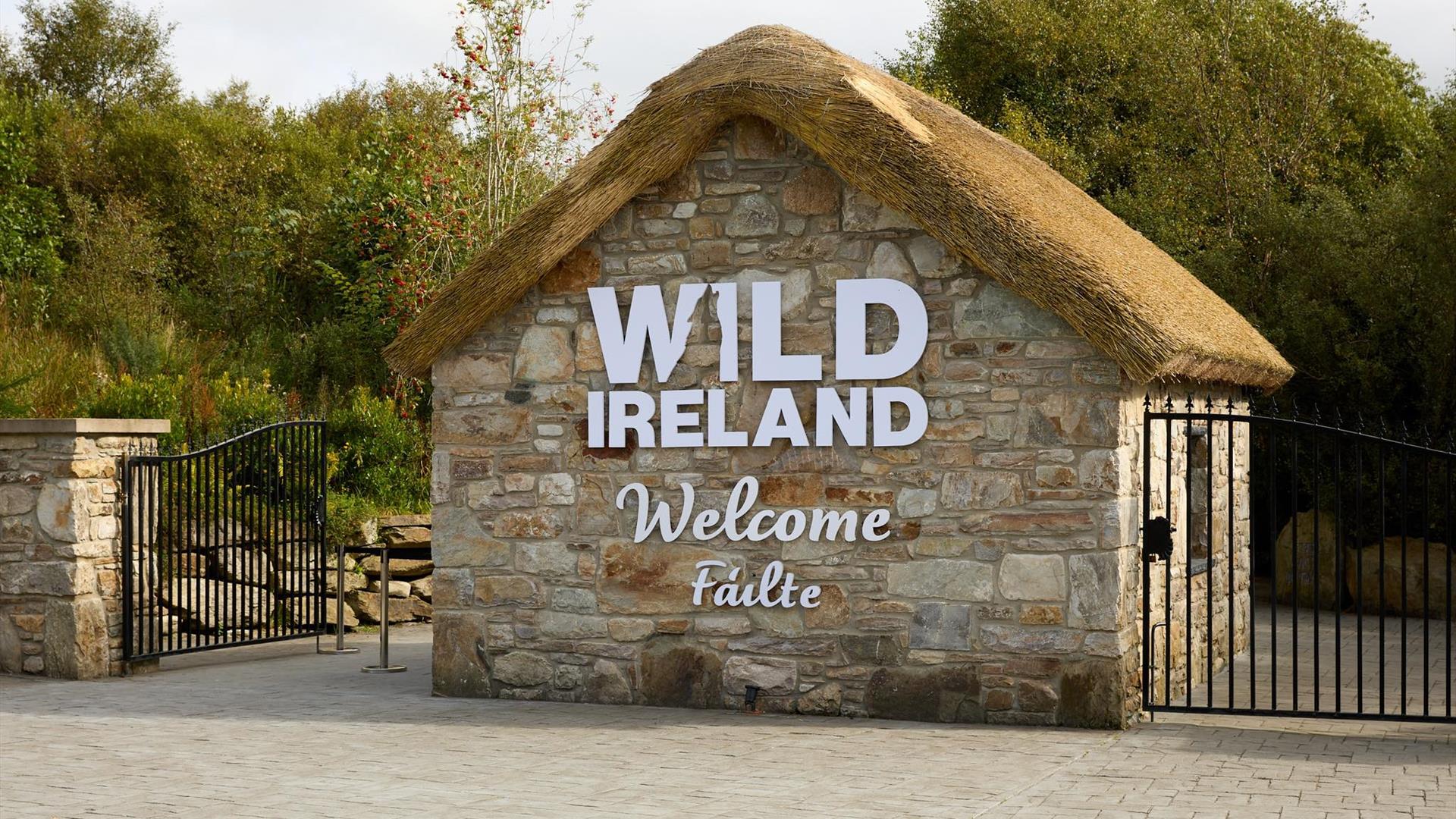 Wild Ireland