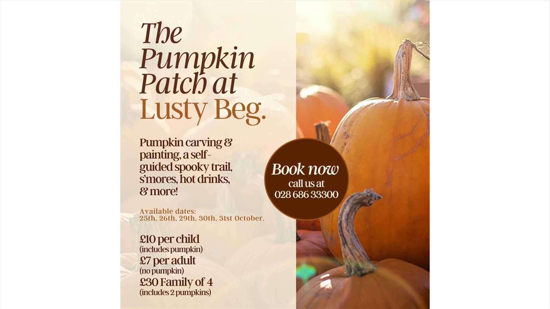 The Pumpkin Patch at Lusty Beg