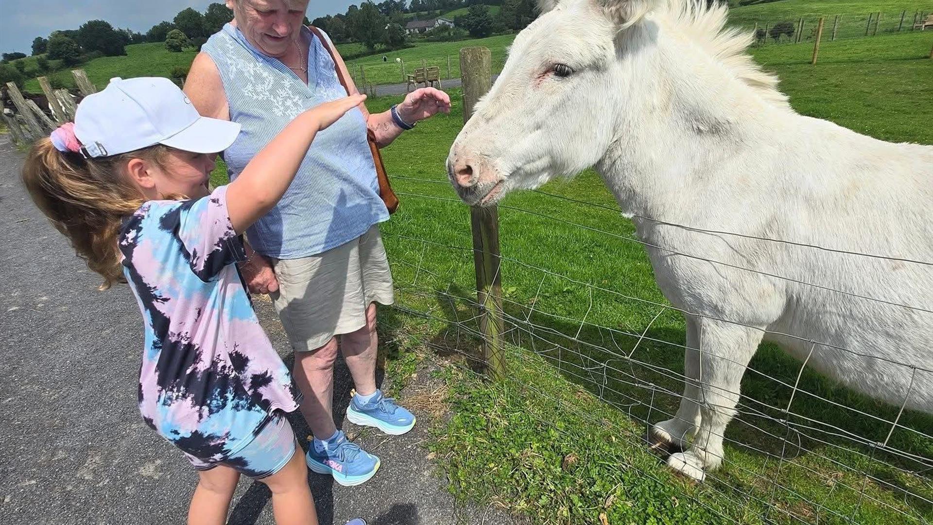 animals and families enjoying activities