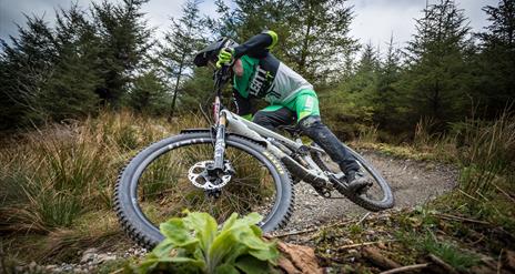 MTB