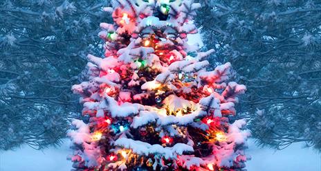 Community Christmas Tree Display @ Fermanagh Fun Farm